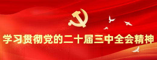 学习贯彻党的二十届三中全会精神